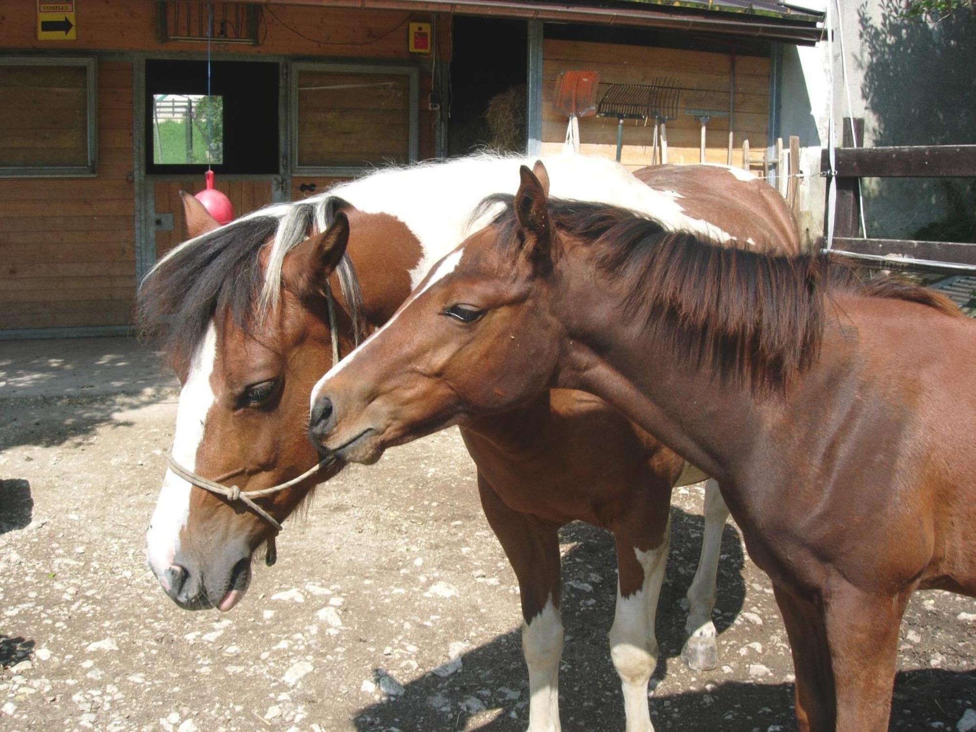 Logis De La Licorne