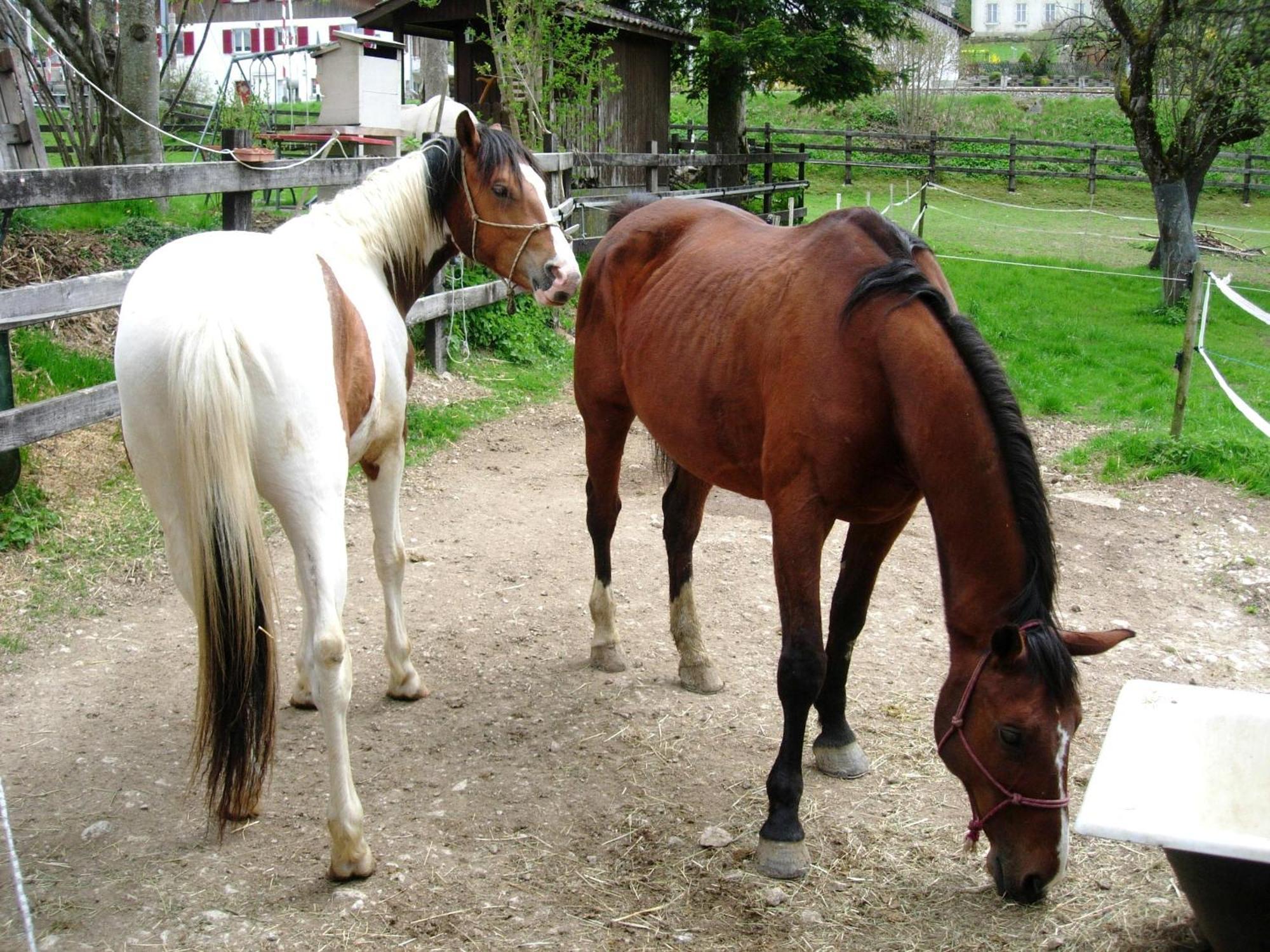 Logis De La Licorne *